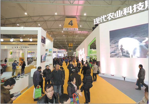 Chengdu charms consumers with range of expos