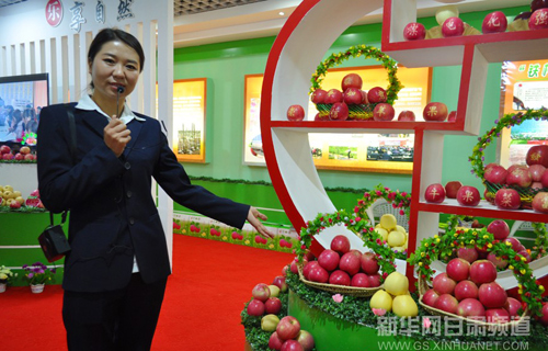 Pingliang signs 1.53b yuan of agreements at apple expo