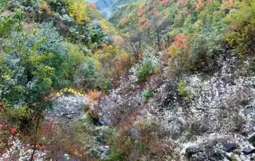 First snow in SW Chongqing comes earlier than ever