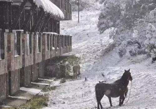 First snow in SW Chongqing comes earlier than ever