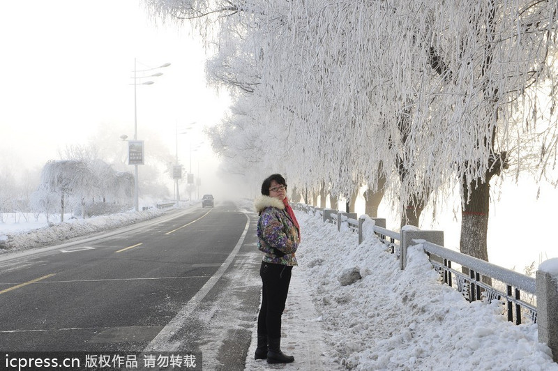 Scenery of rime in NE China