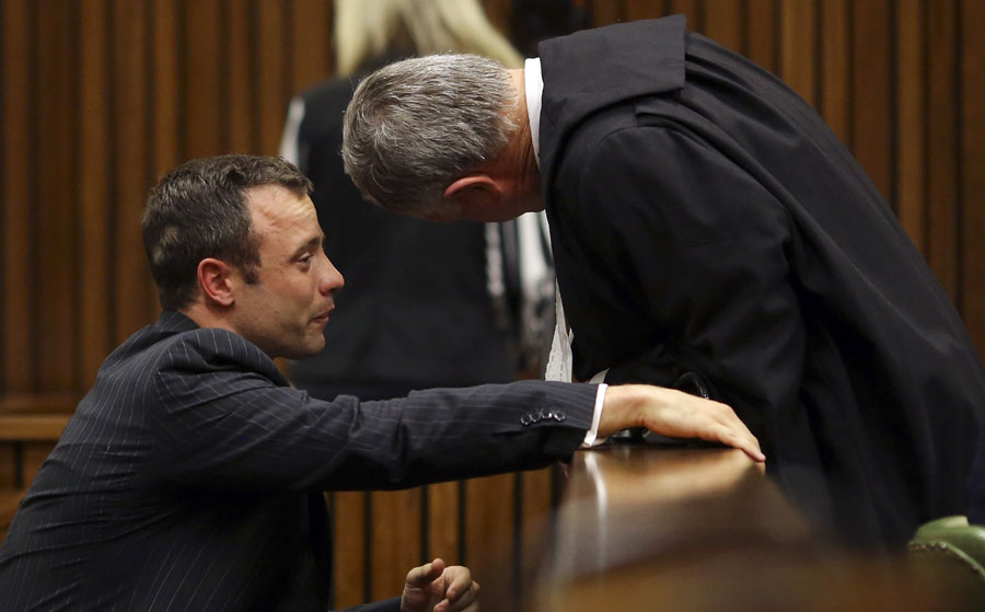 Pistorius vomits at Steenkamp autopsy details in court