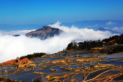 Breathtaking Yuanyang terrace