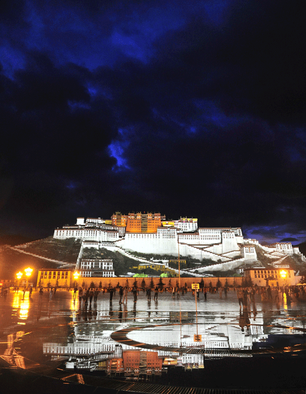 Music fountain and night scenes at the Potala Palace