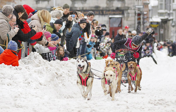 Dog sled race