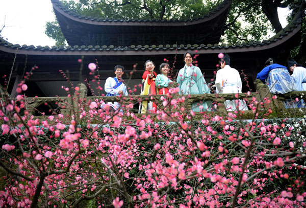 Plum blossoms herald coming of spring