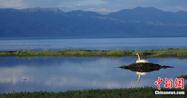 Sayram Lake in the threshold of summer