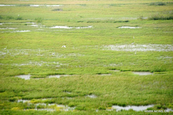 Dulu River nature reserve in China