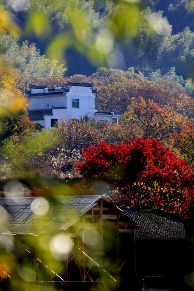 Scenery of Tachuan village, China's Anhui