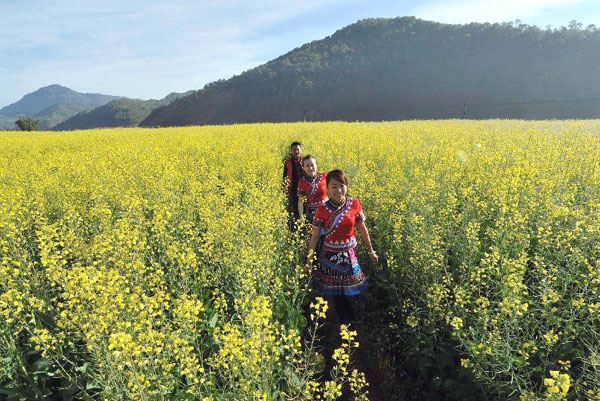 Plan a trip to colorful Yunnan