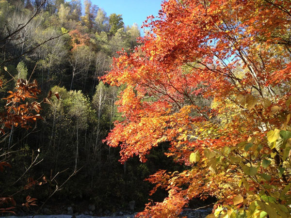 Scenery of Changbai Mountain