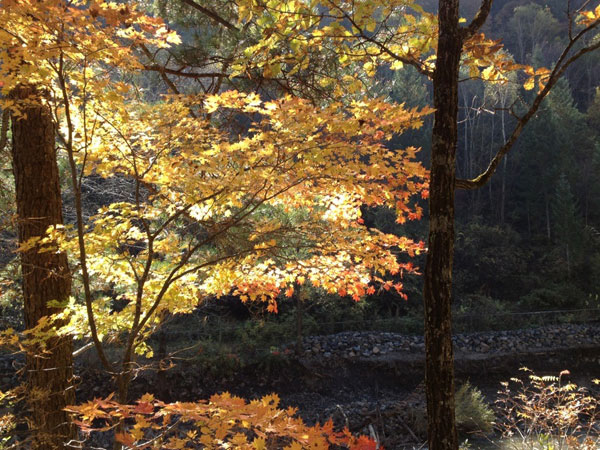 Scenery of Changbai Mountain