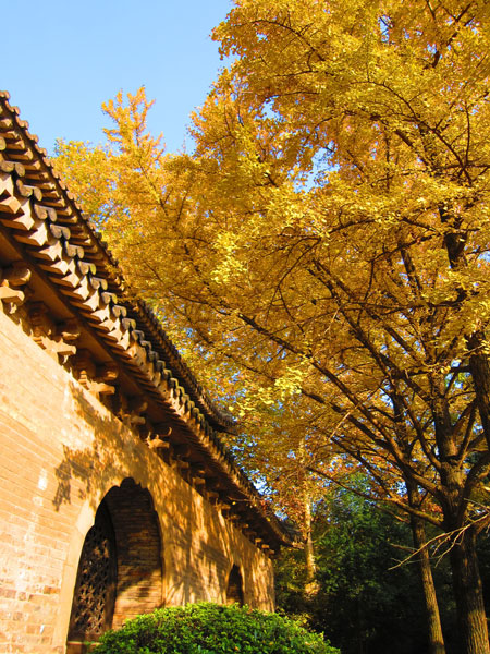 Stepping back in time in Nanjing