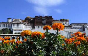 Yogurt festival marked in Lhasa