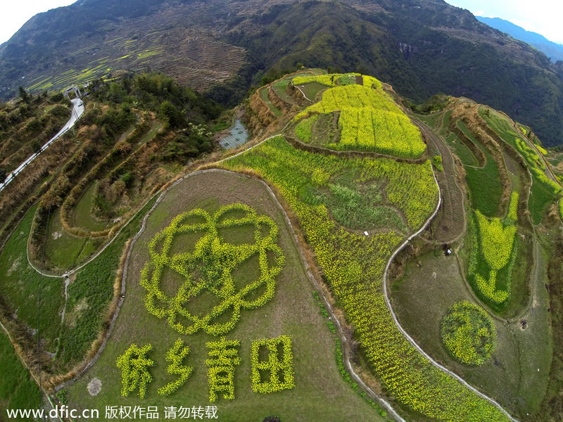 Flower terraces beckon romantic spirit