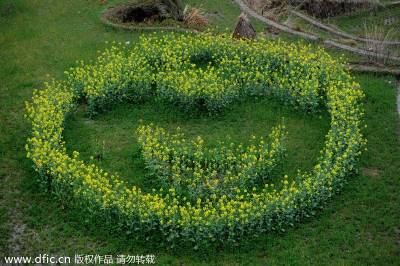 Flower terraces beckon romantic spirit