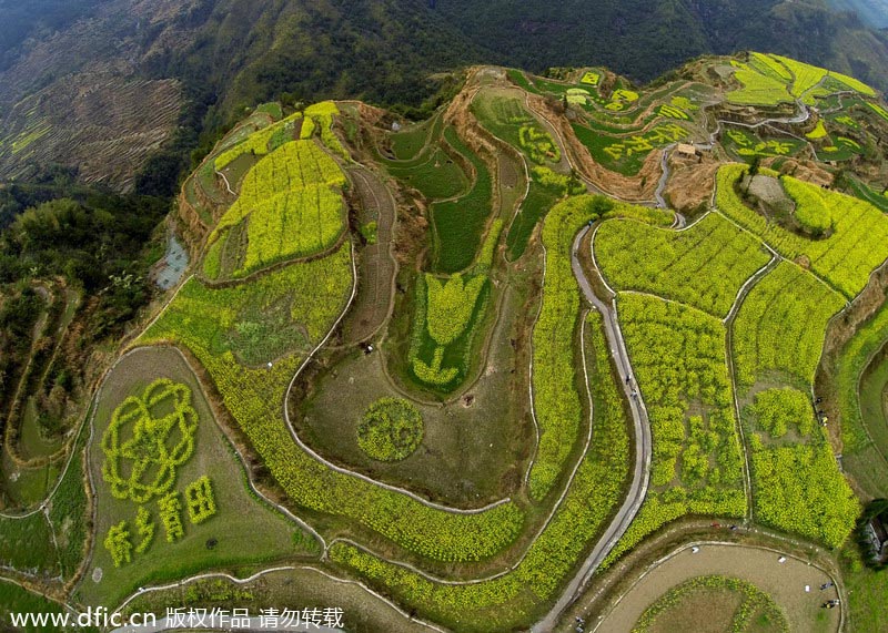 Flower terraces beckon romantic spirit