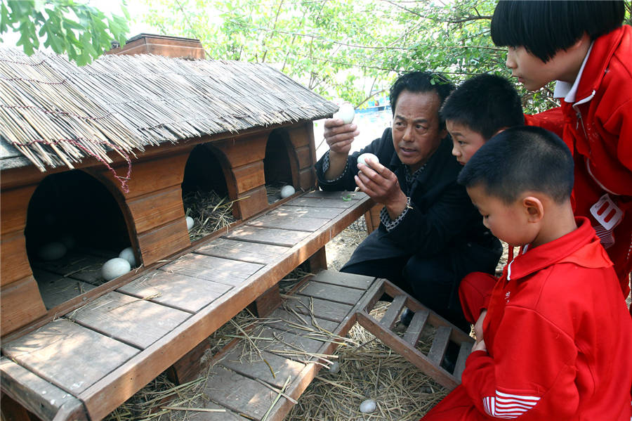 A bird-watching island in Shichahai