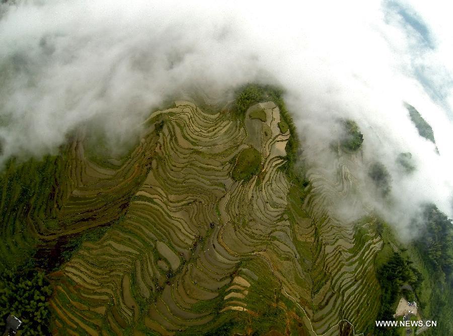 Terraced fields in Zhejiang