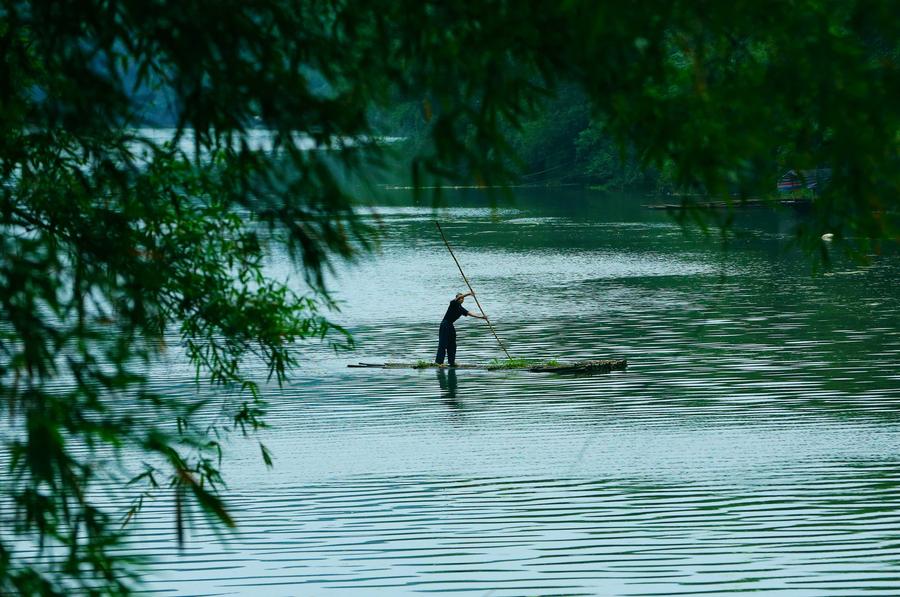 Scenery of Bamboo Sea in Sichuan