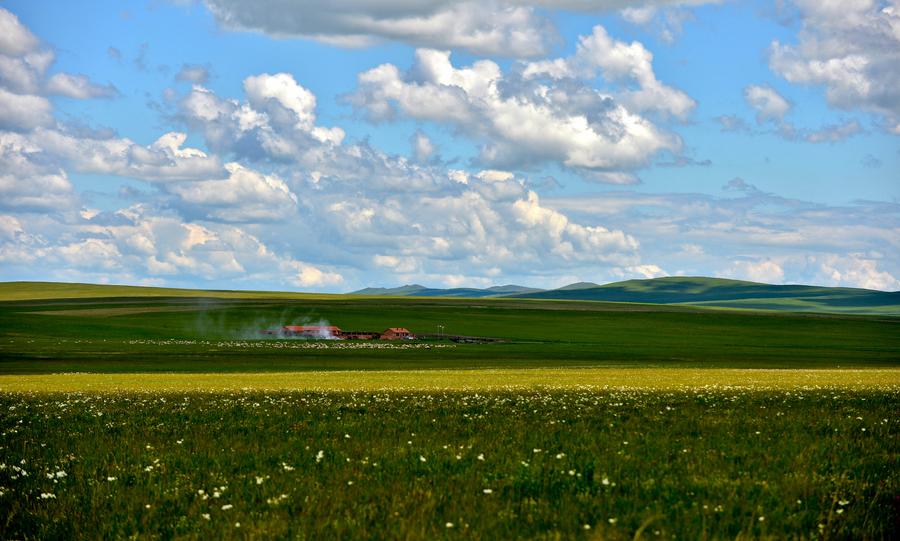 Scenery of Ulgai Grassland in N China