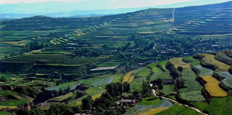 Scenery of terrace fields in Dingxi, NW China