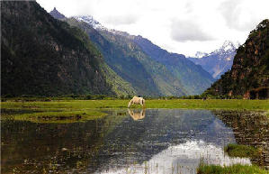 Scenery of terrace fields in Dingxi, NW China