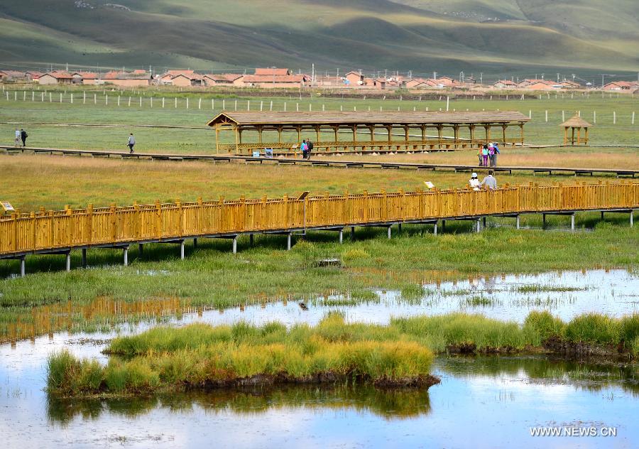 Beauty of Gahai Wetland in NW China's Gansu