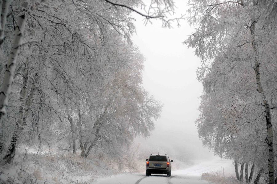 Autumn rime seen in Inner Mongolia