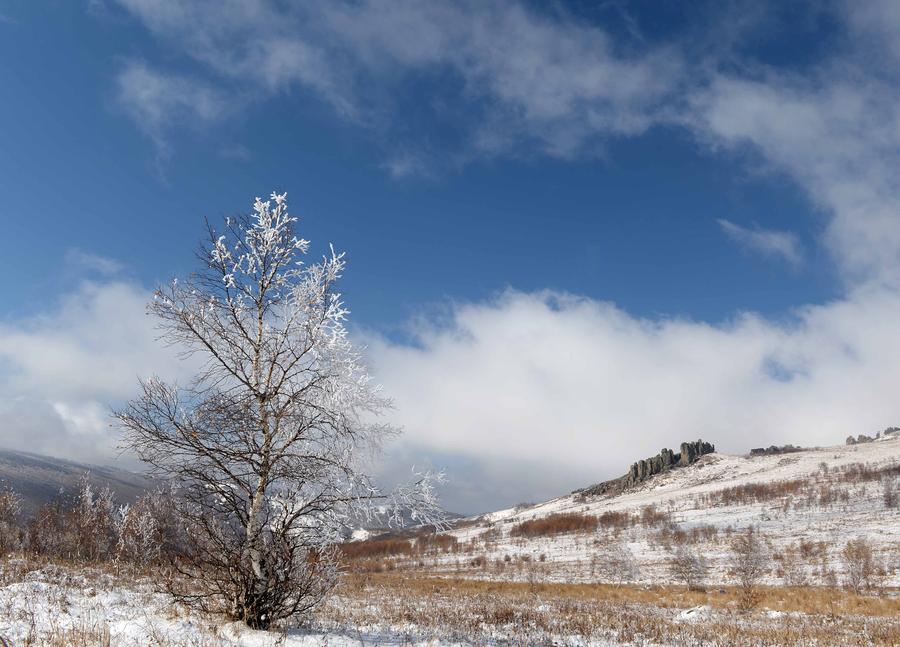 Autumn rime seen in Inner Mongolia