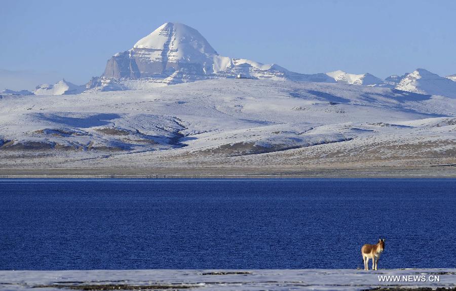 Picturesque scenery of Mount Kailash in Tibet