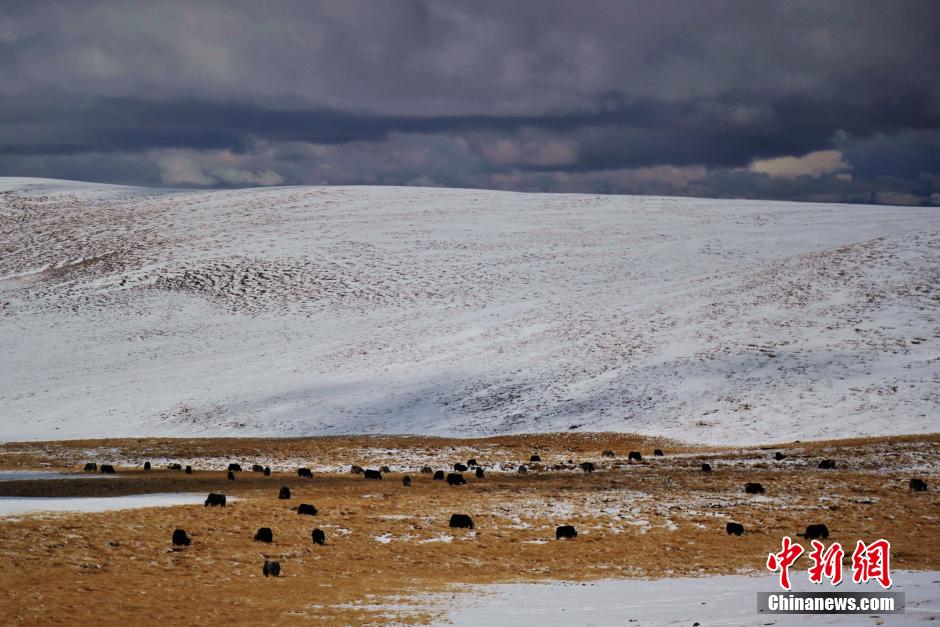 Beautiful scenery along the Qinghai-Tibet Highway