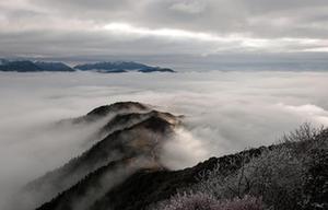 First winter snows fall on Lhasa