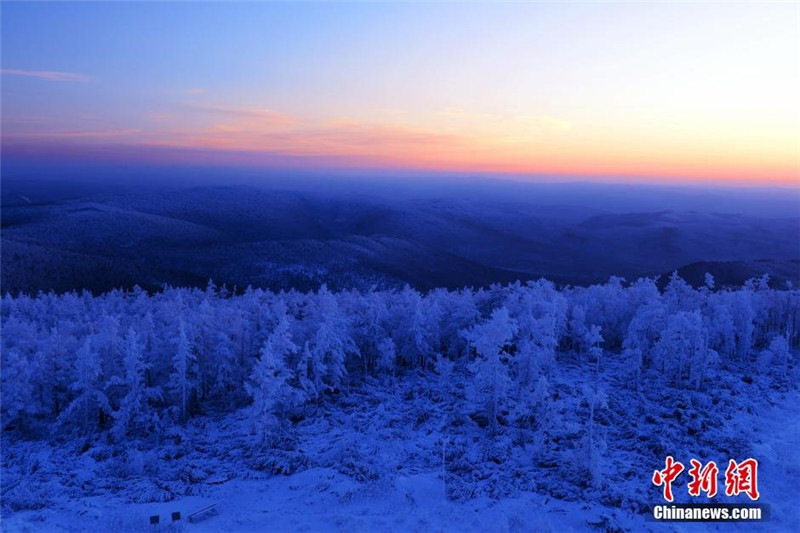 Rime blankets Inner Mongolia