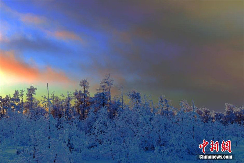 Rime blankets Inner Mongolia