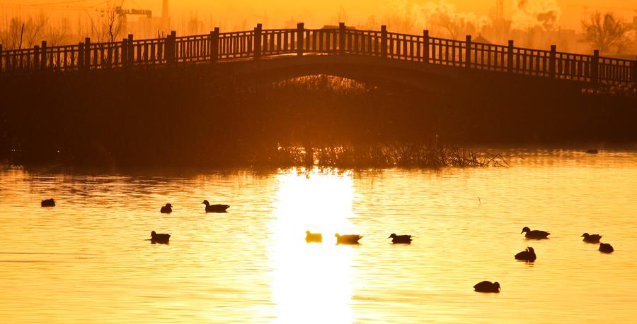 Picturesque Zhangye National Wetland Park