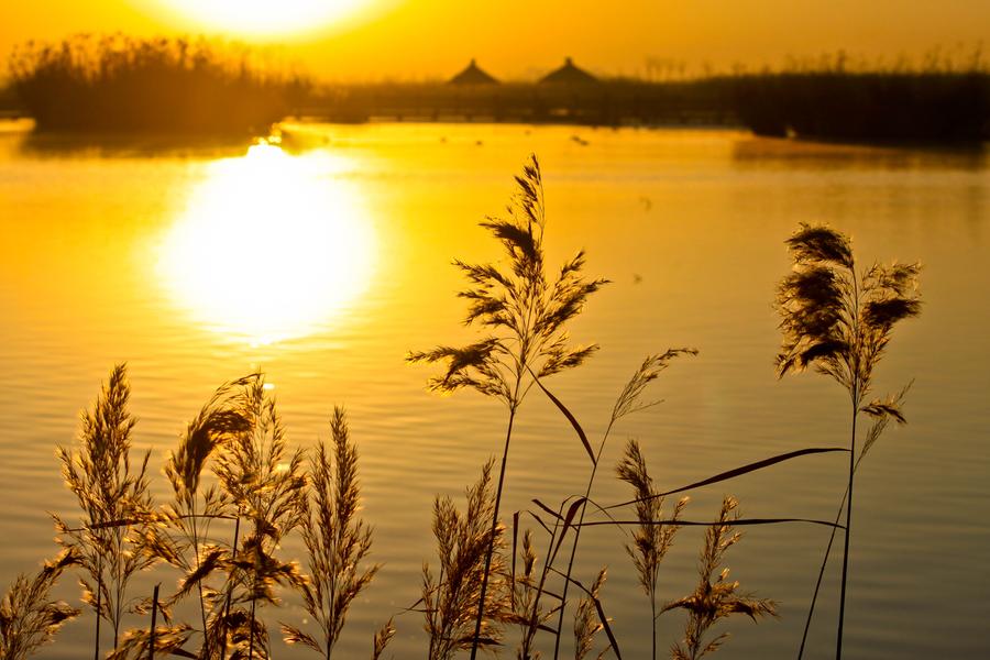 Picturesque Zhangye National Wetland Park