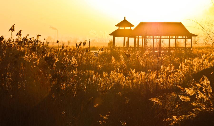 Picturesque Zhangye National Wetland Park