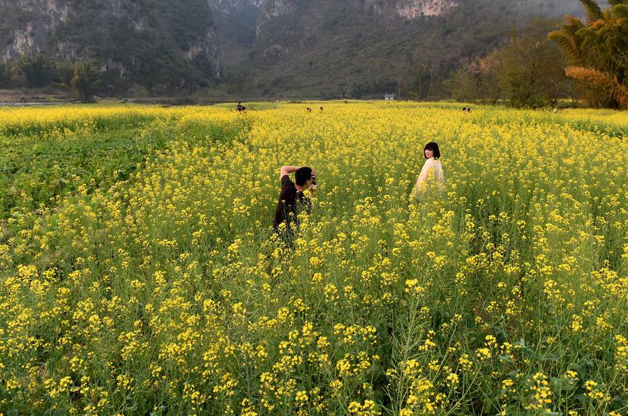 Bamei village attracts crowds with its nature