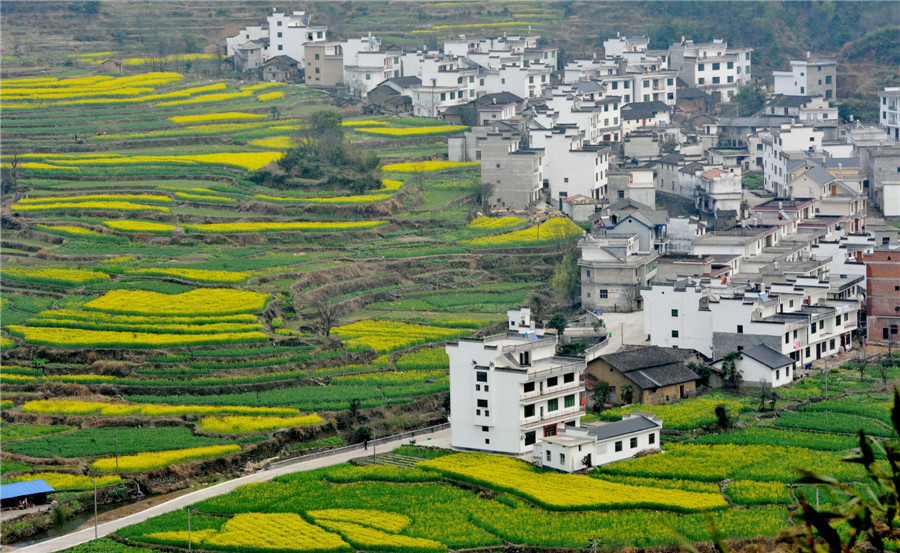 Spring flowers bloom across China