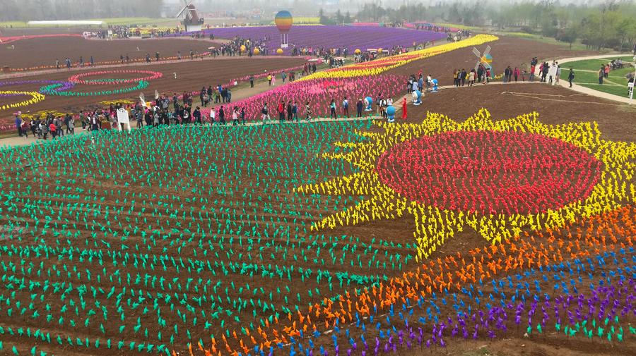 300,000 colorful pinwheels set for Qingming