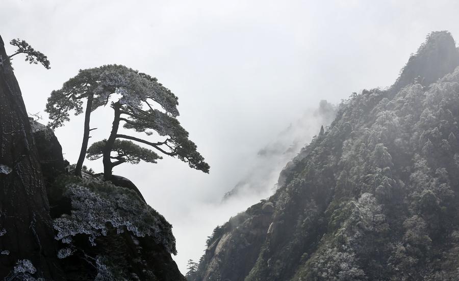 Snow scenery of Huangshan Mountain