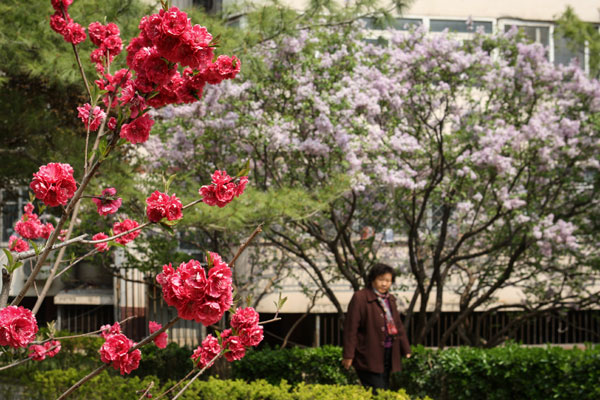 Right at home with flowers in Beijing