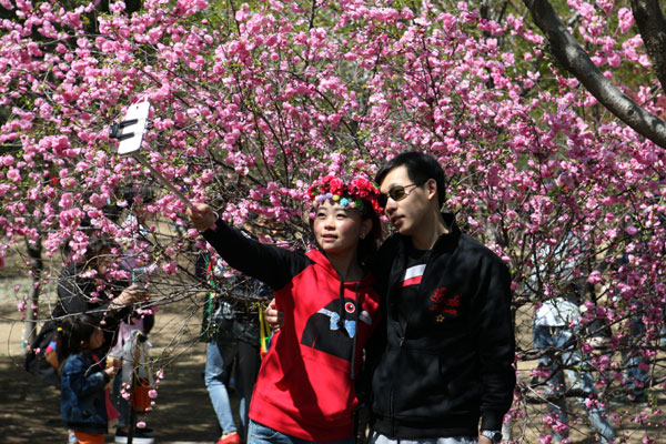 Right at home with flowers in Beijing