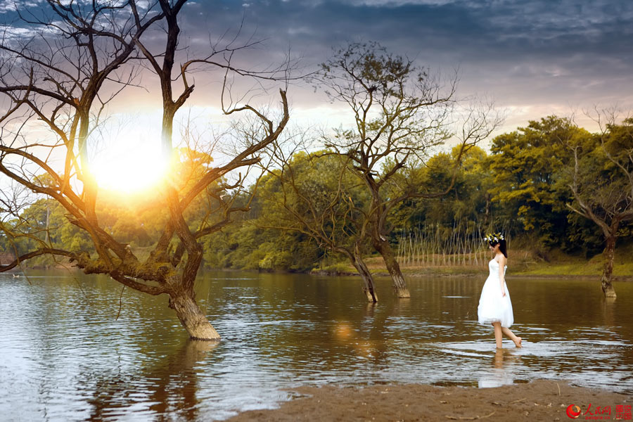 Picturesque Mazhou Forest in Jiangxi