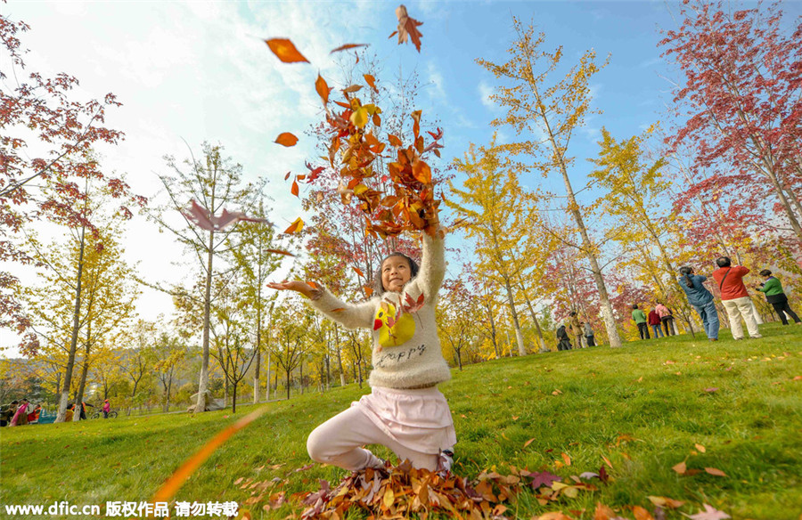 Late autumn views turn Beijing into scenic city