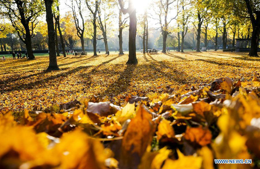 Time for embracing fall in Brussels