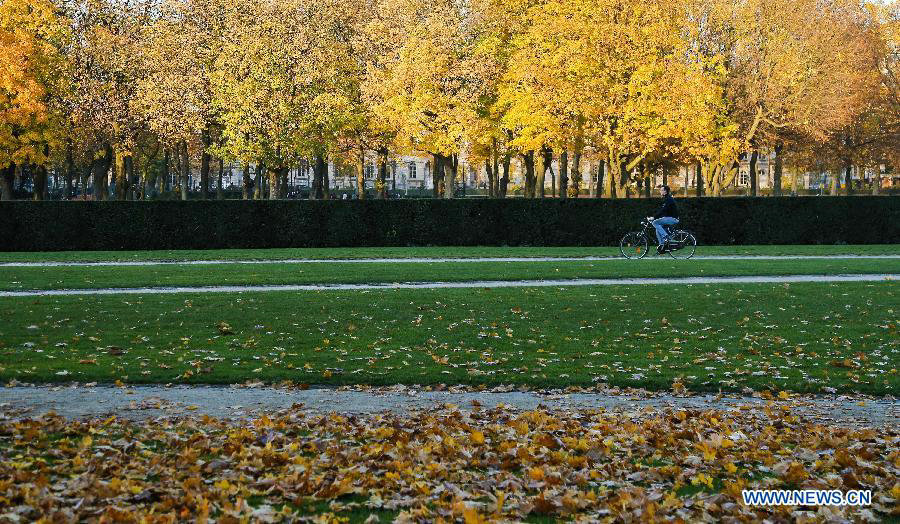 Time for embracing fall in Brussels