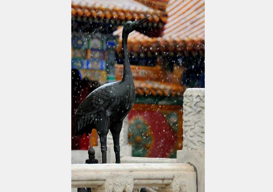 Palace Museum coated in snowfall, a poetic twist to the attraction