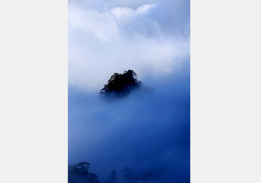 Huangshan's beauty in early winter